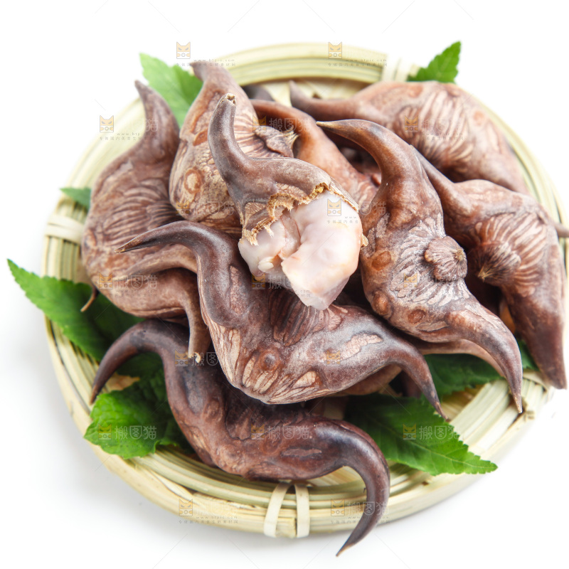 老菱角