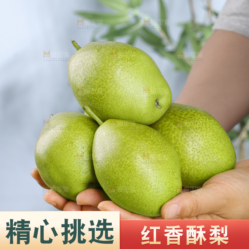 红香酥梨