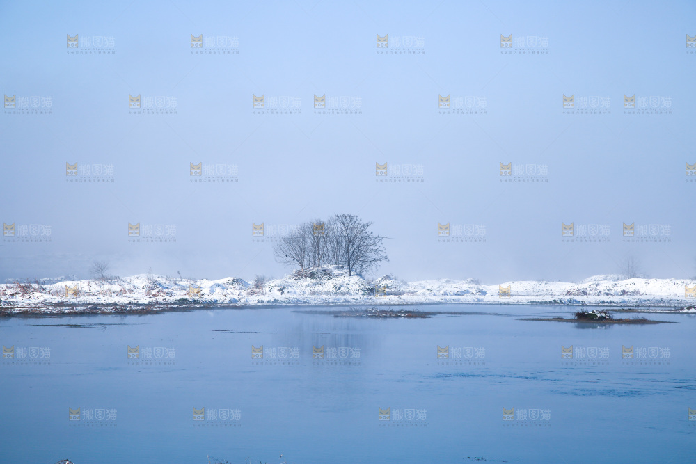 雪景