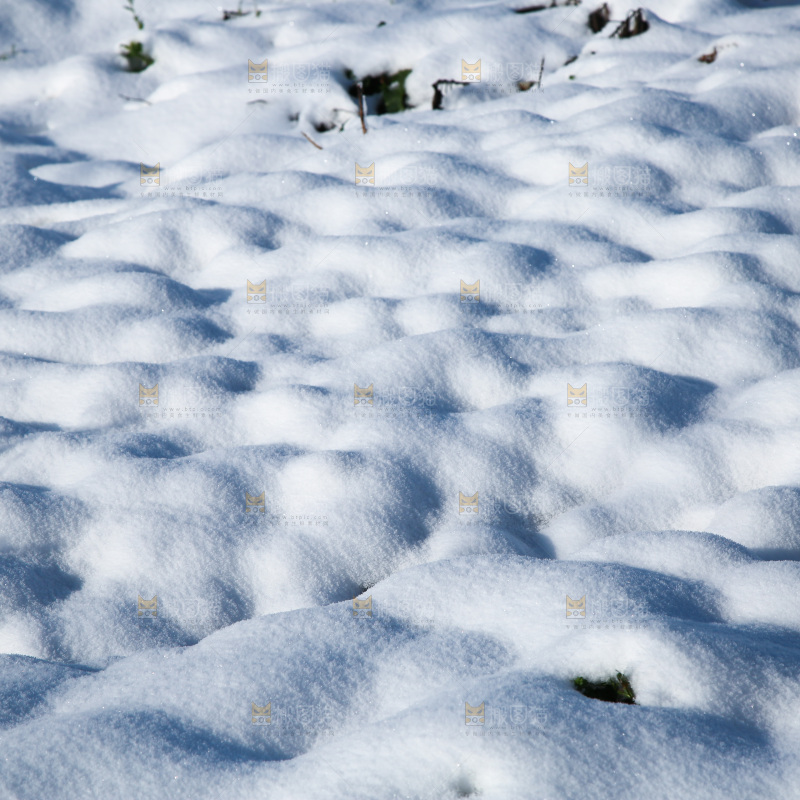 雪景