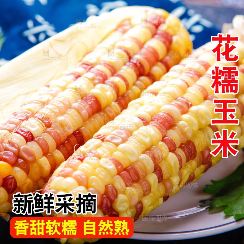 花糯玉米