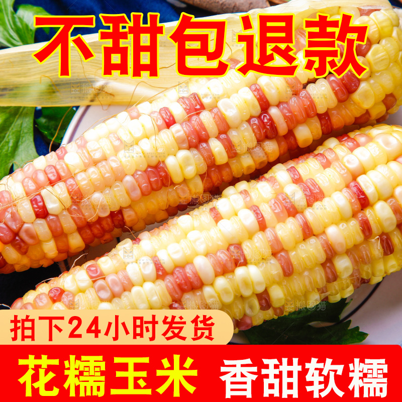 花糯玉米