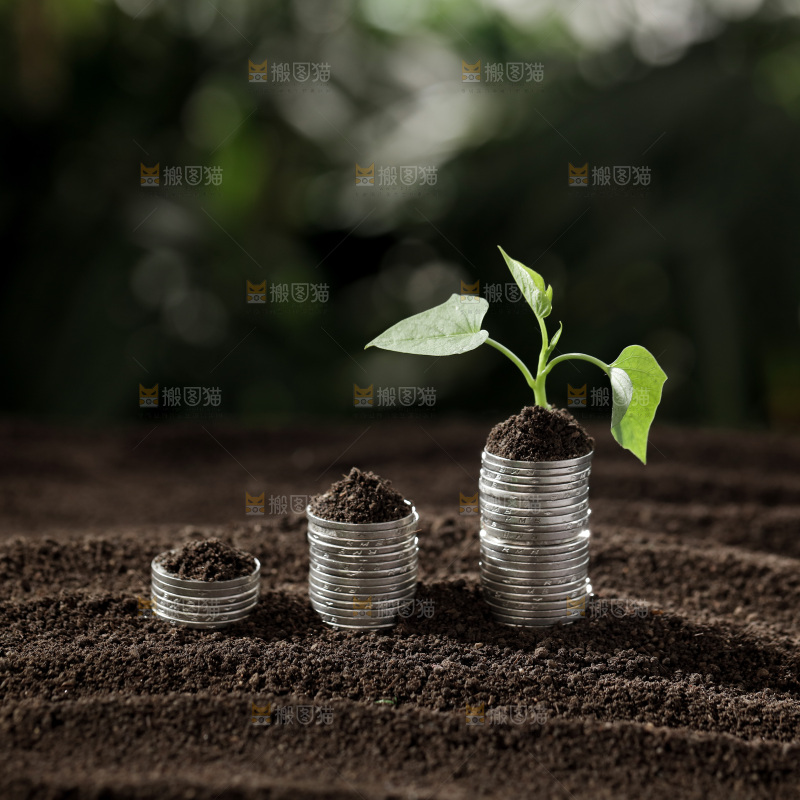 理财金融生长