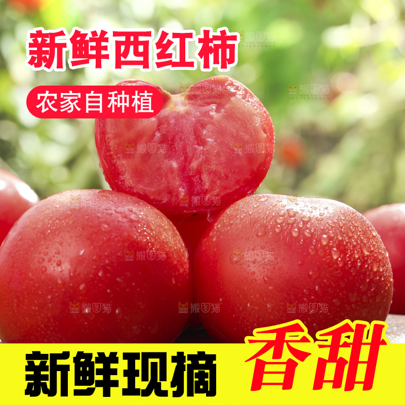 西红柿