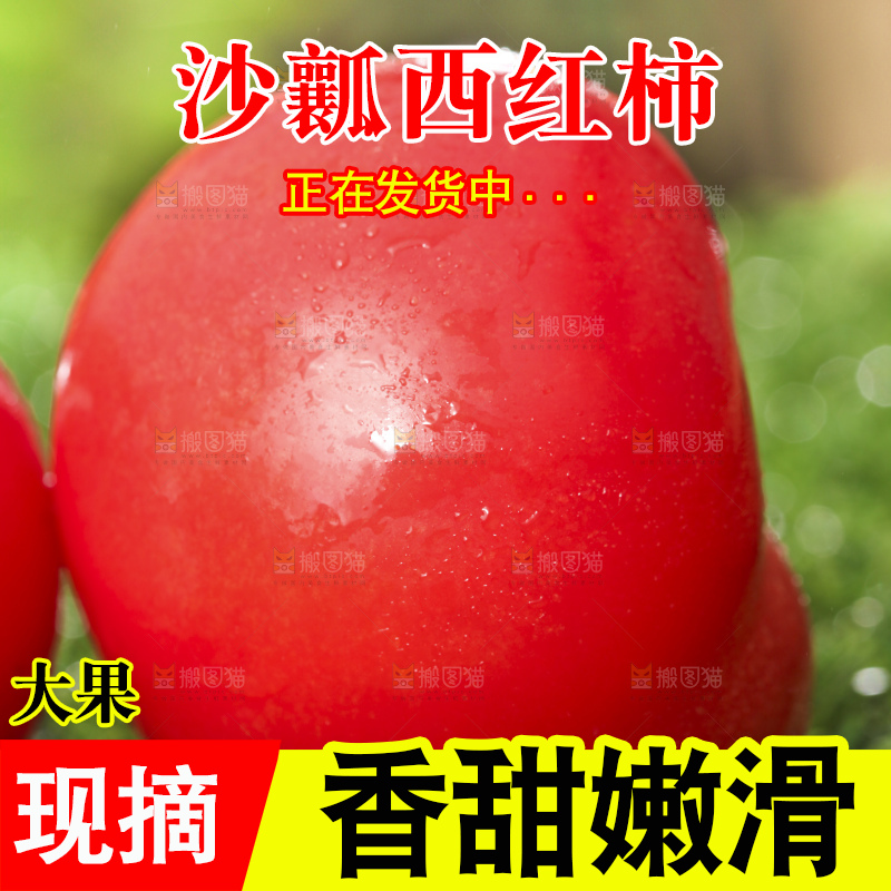 西红柿