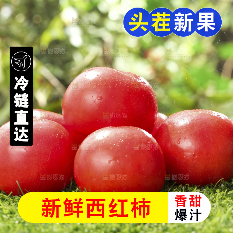西红柿