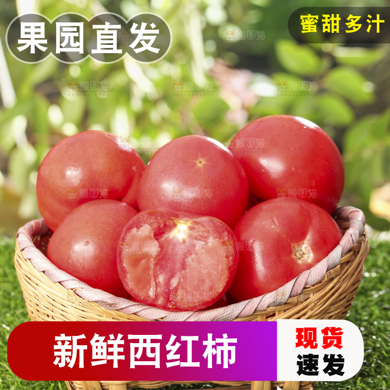 西红柿