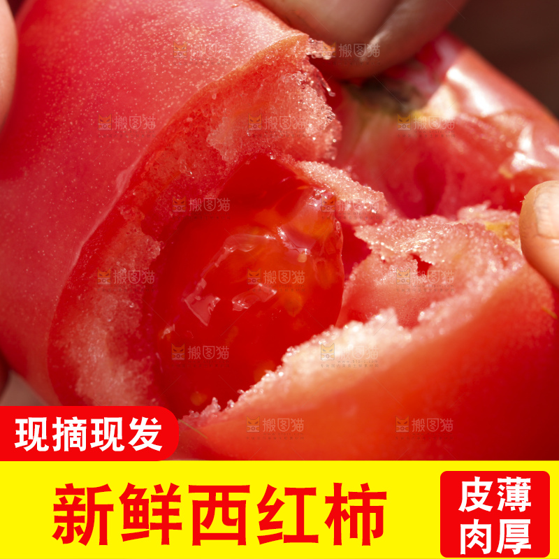 西红柿