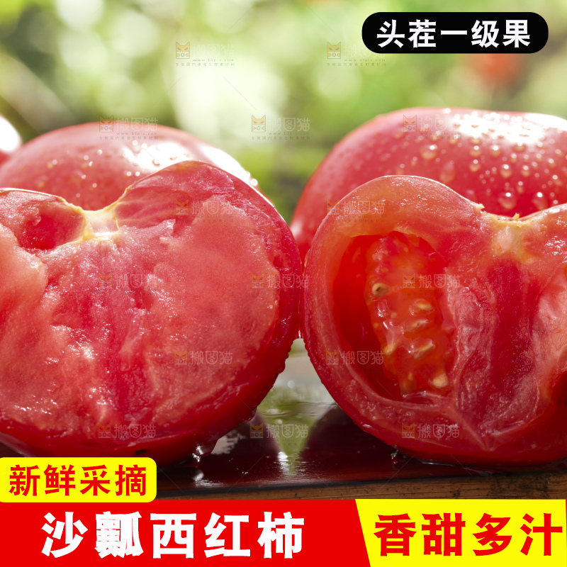 西红柿