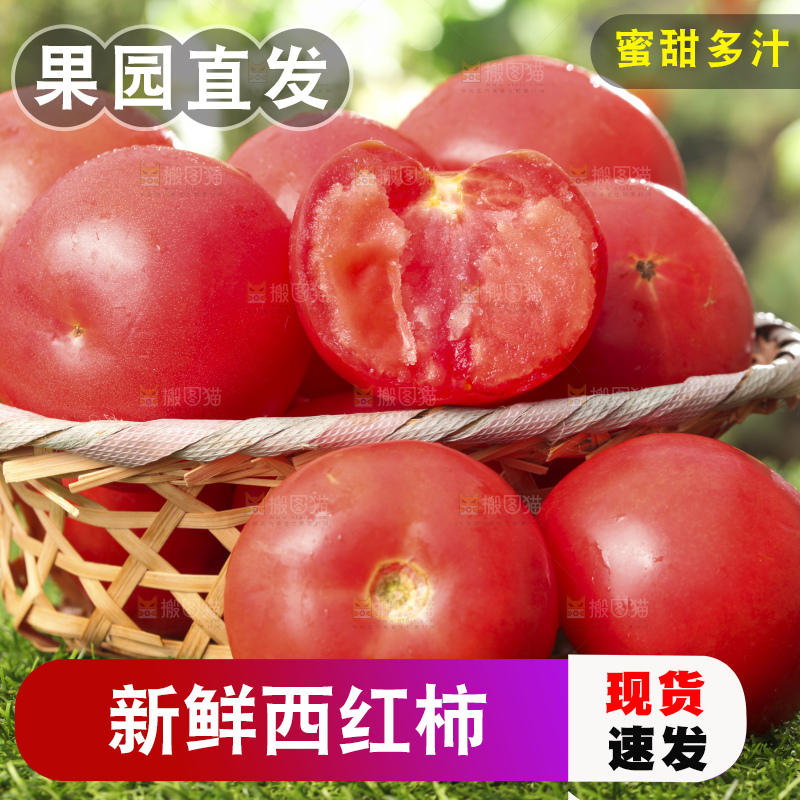 西红柿