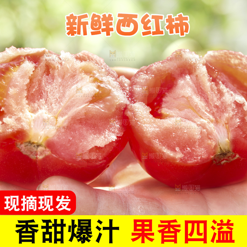 西红柿