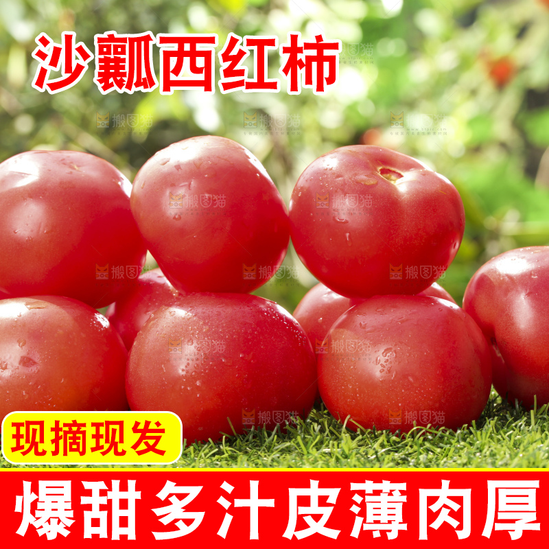西红柿