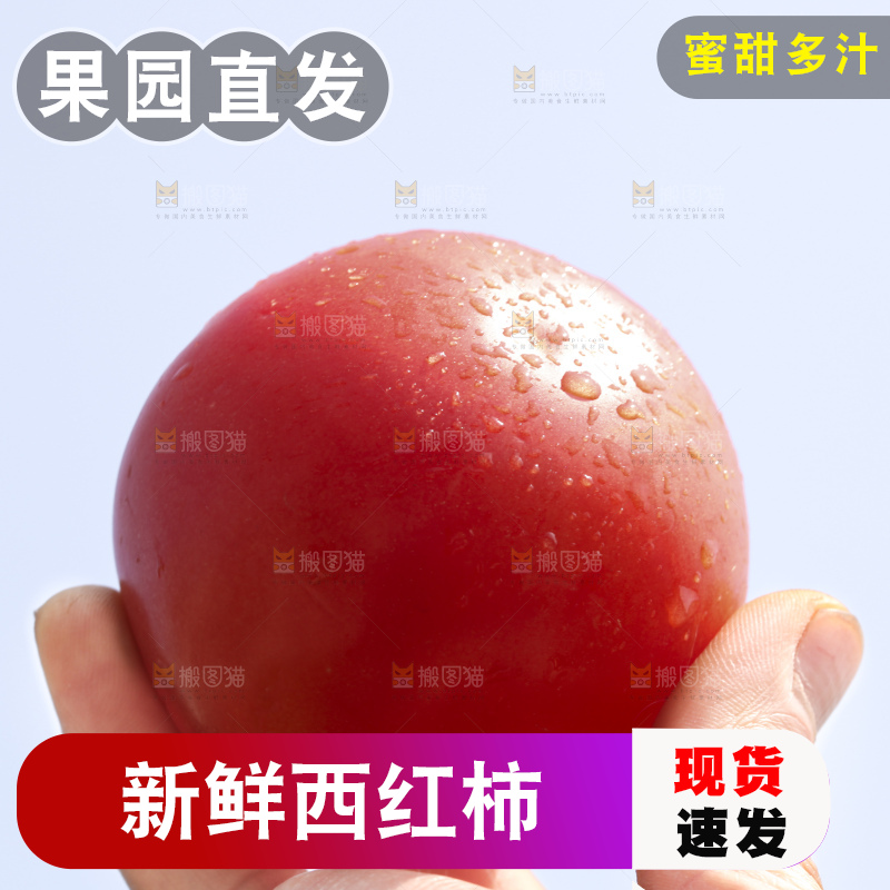 西红柿