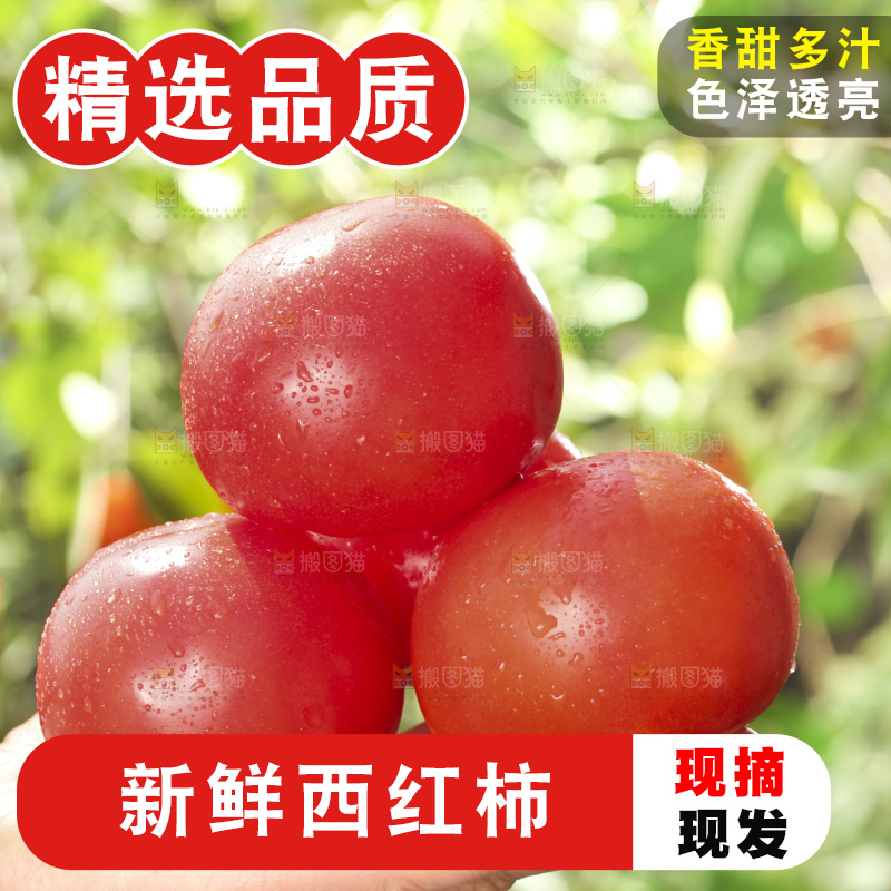 西红柿