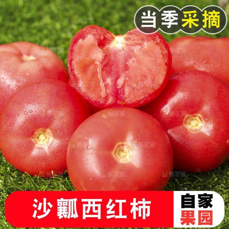 西红柿
