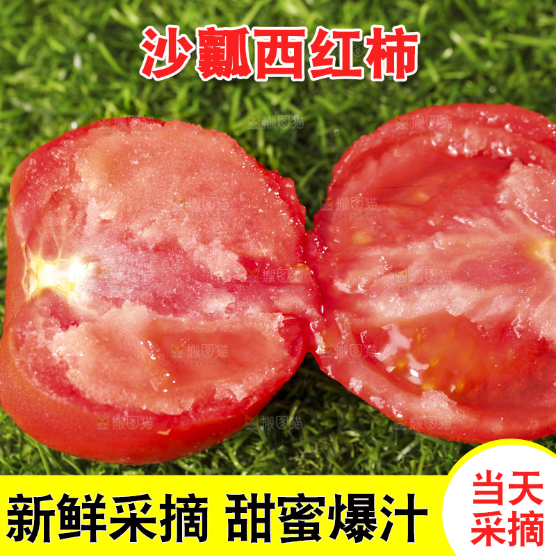西红柿