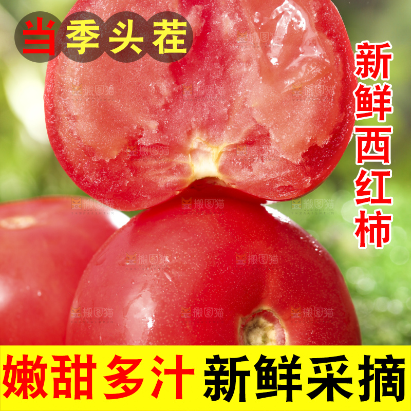 西红柿