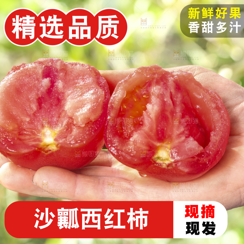 西红柿