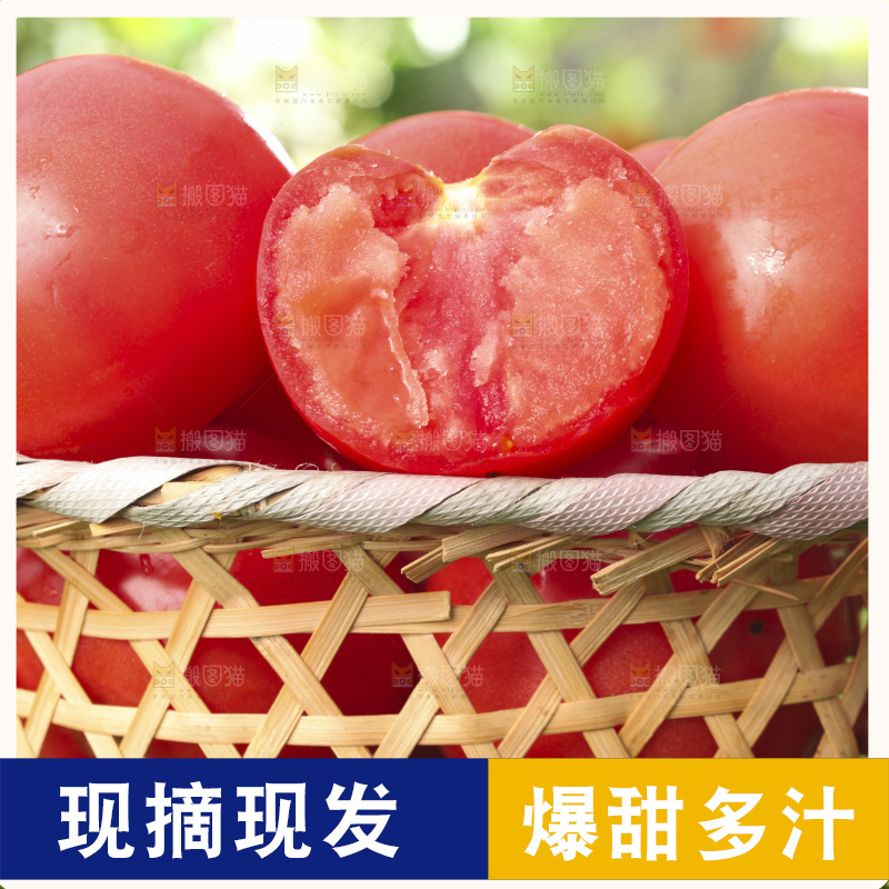 西红柿