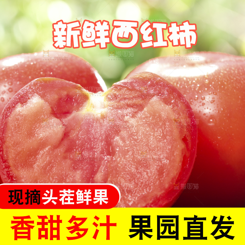 西红柿