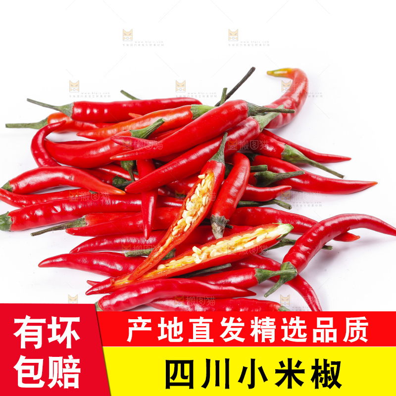 小米椒