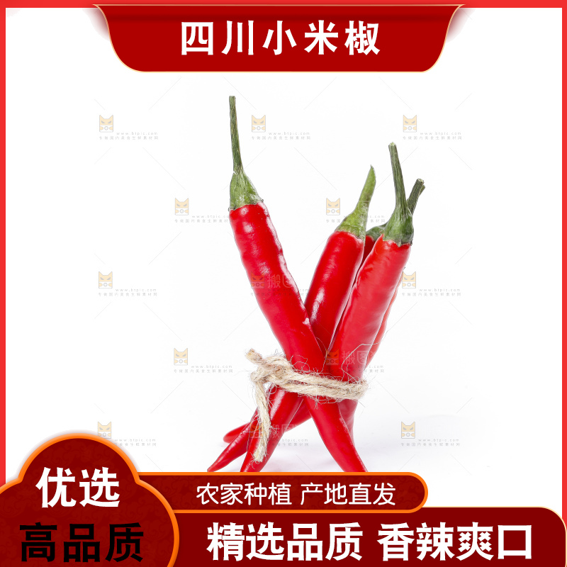 小米椒