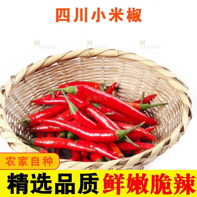 小米椒