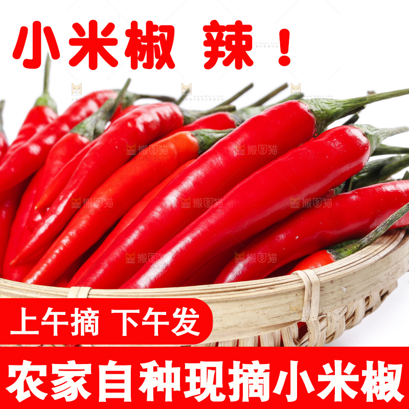 小米椒