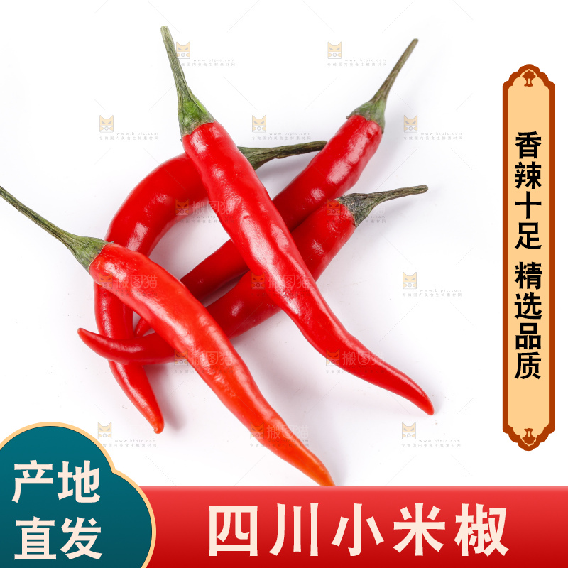小米椒