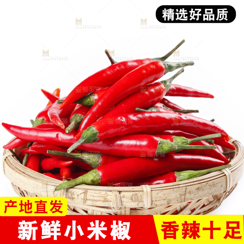 小米椒