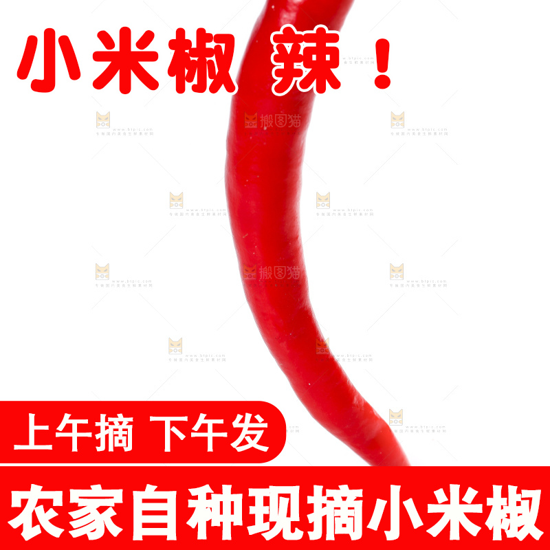 小米椒