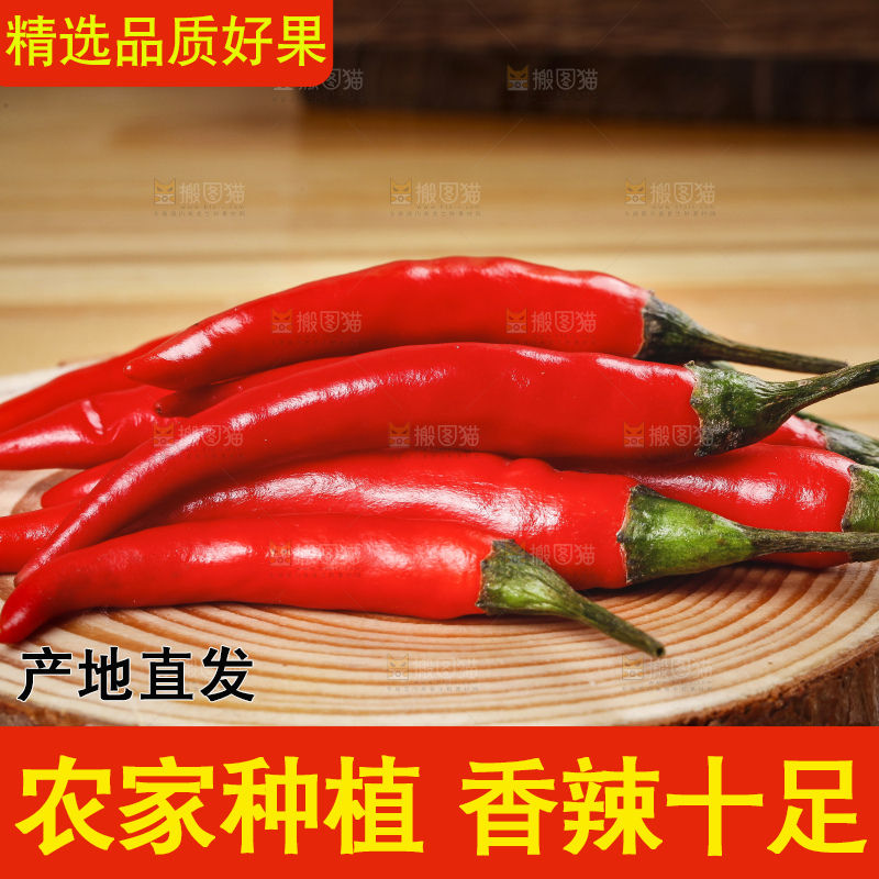 小米椒