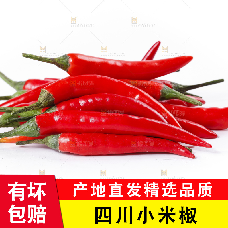 小米椒
