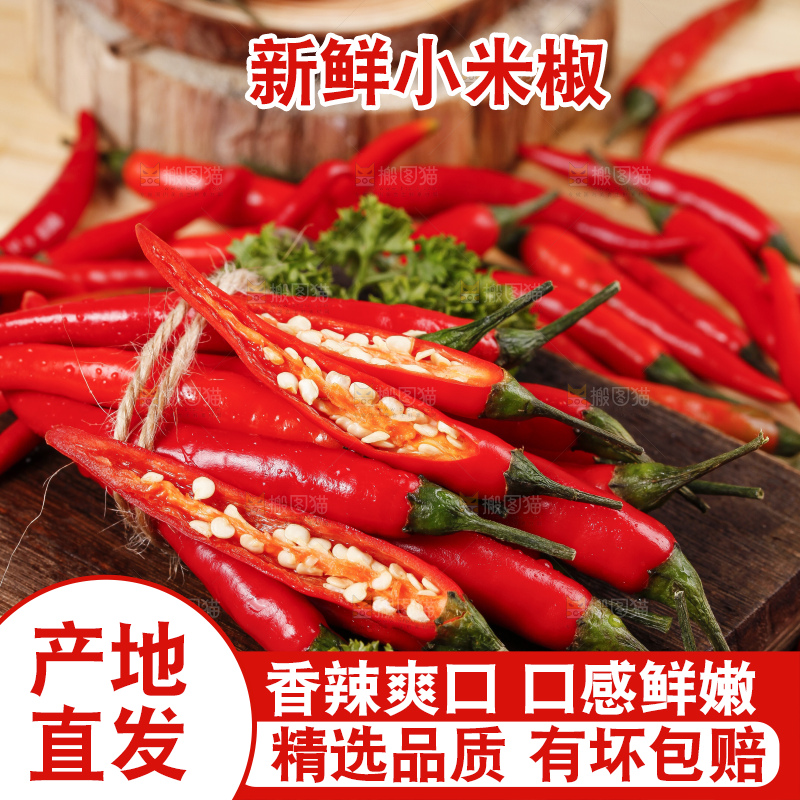 小米椒