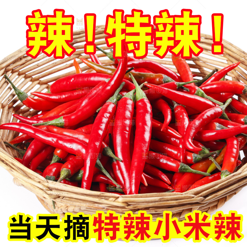 小米椒
