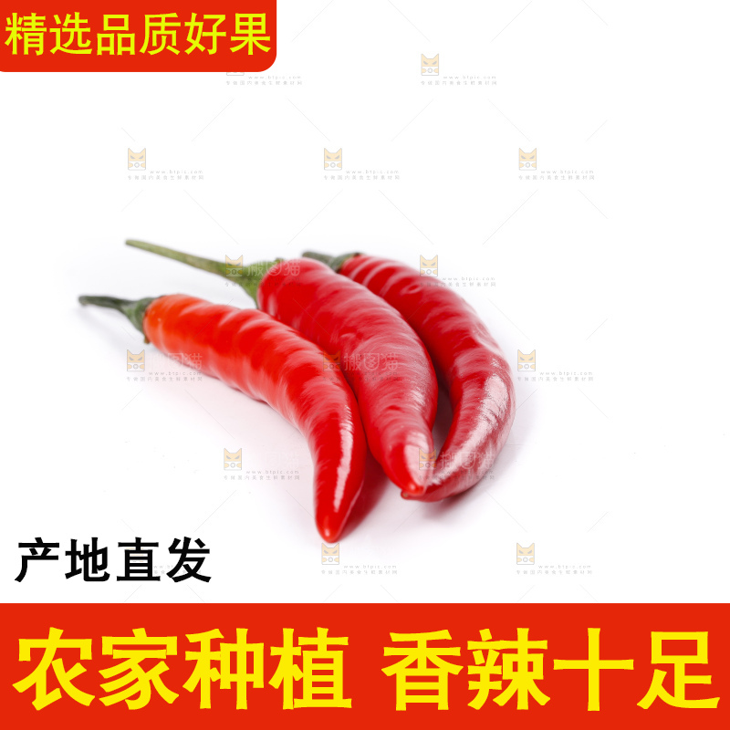 小米椒