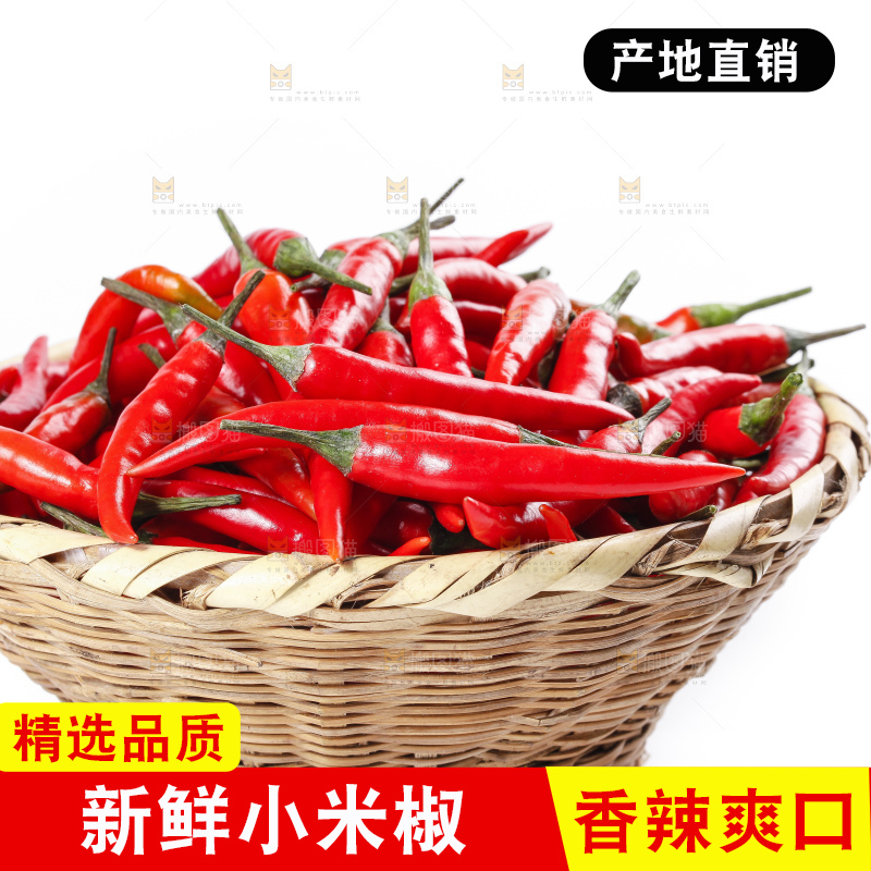 小米椒