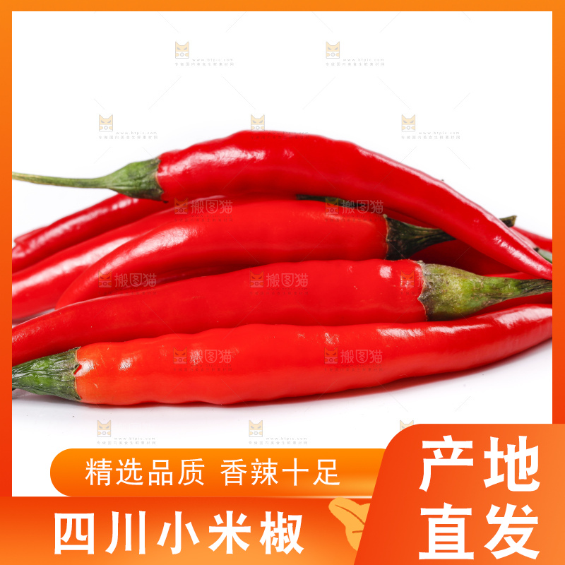 小米椒