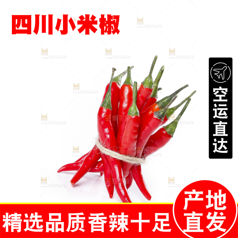 小米椒