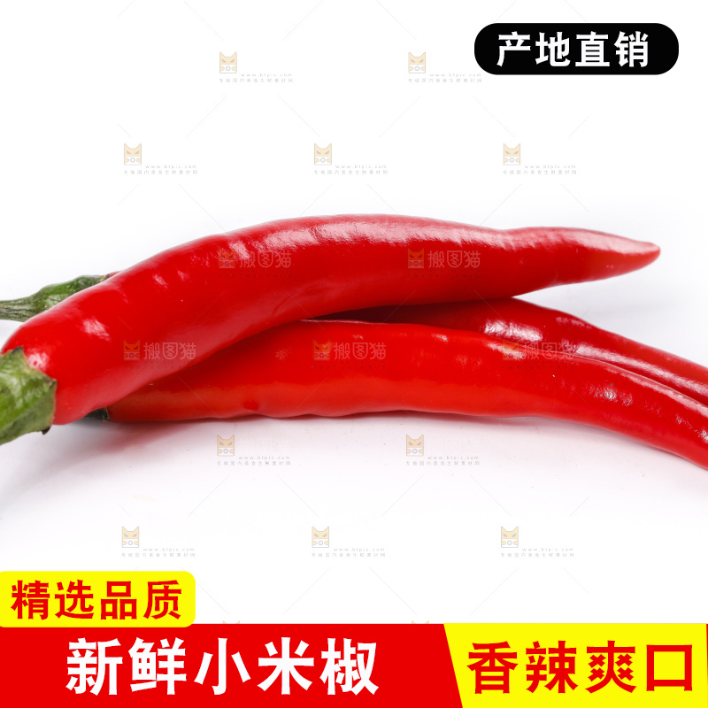 小米椒