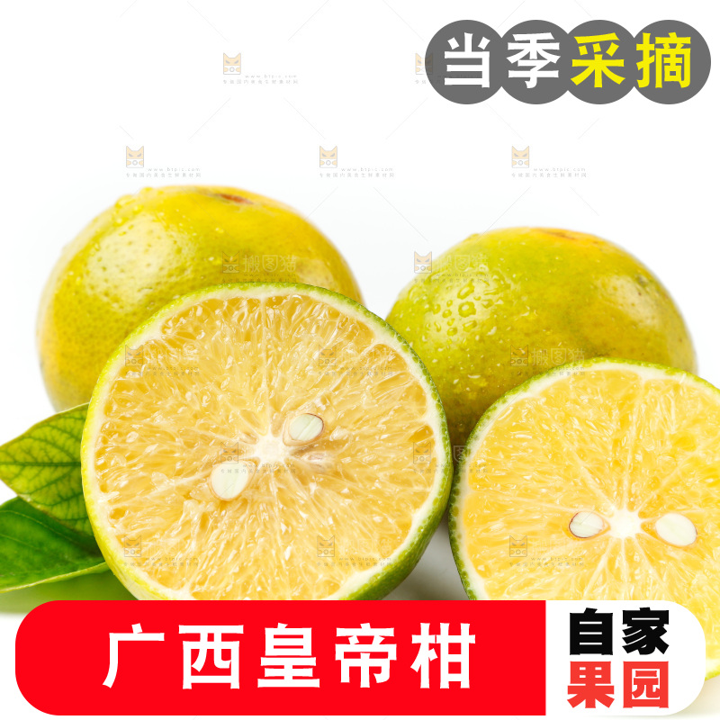 皇帝柑
