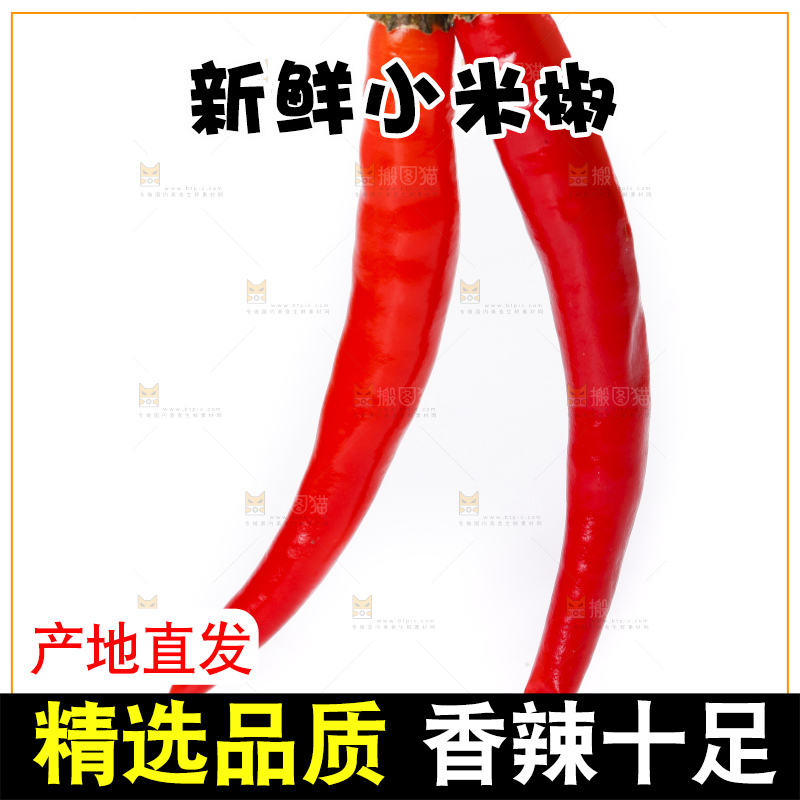 小米椒