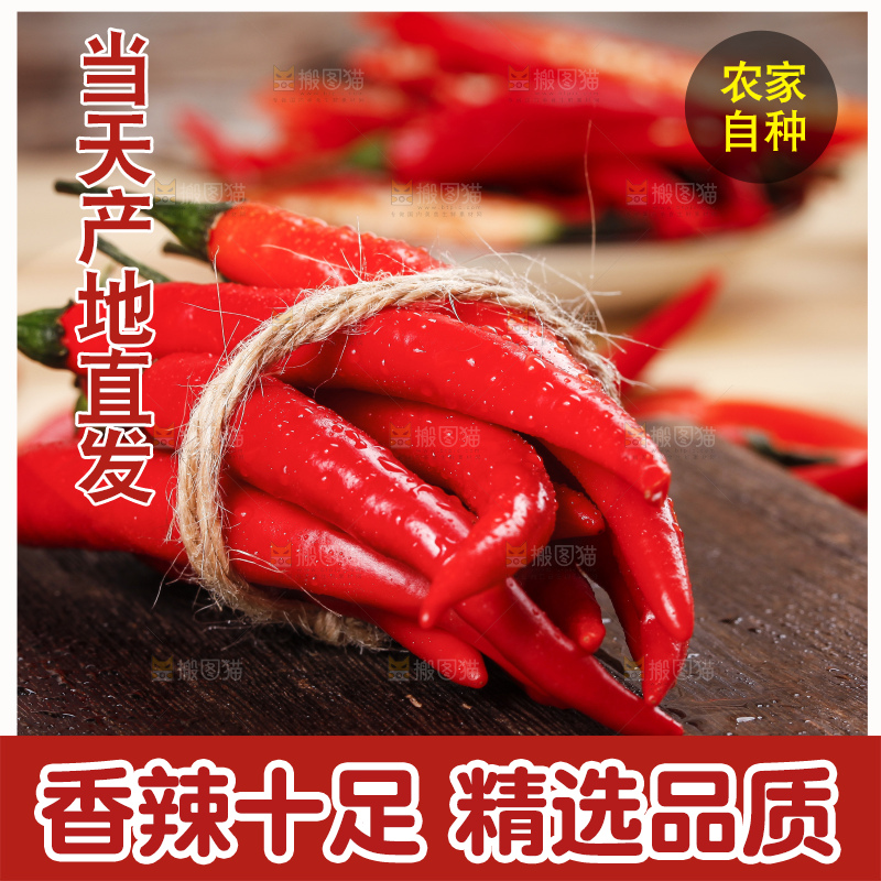 小米椒