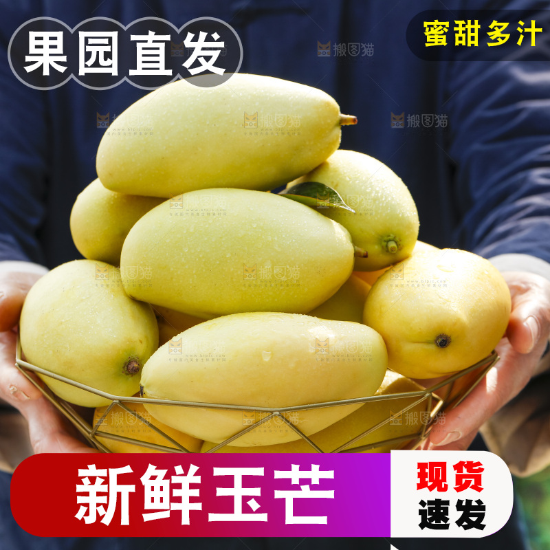 玉芒