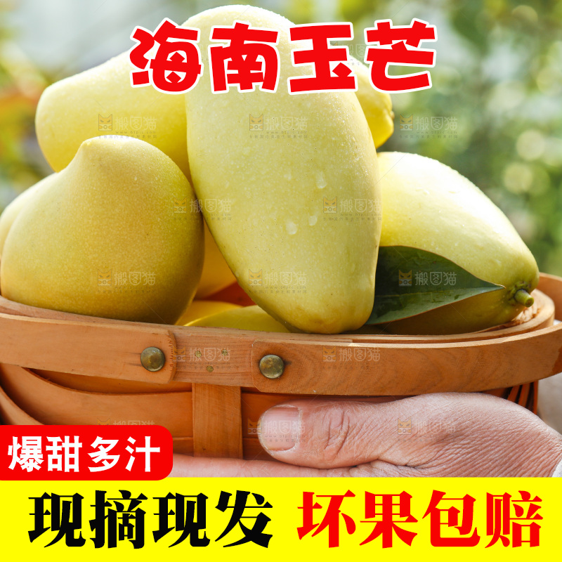 玉芒