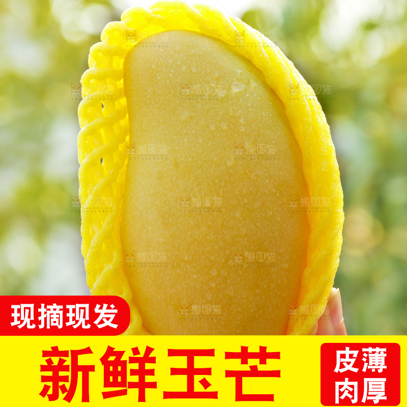 玉芒