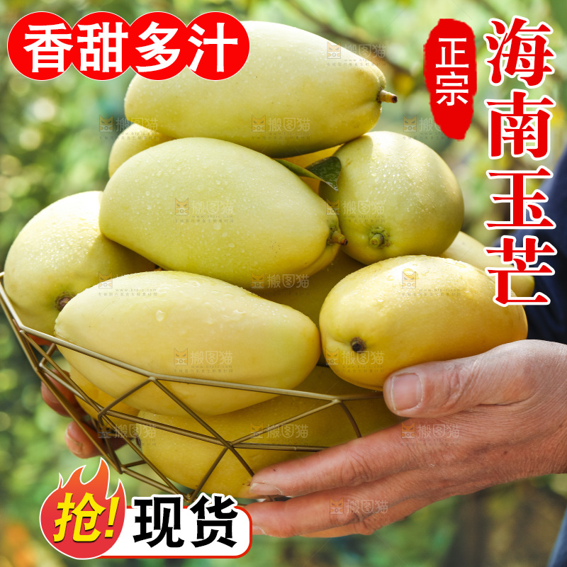 玉芒