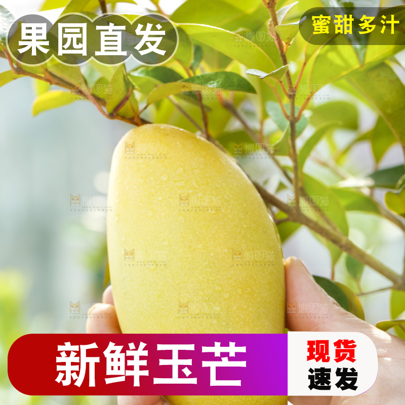 玉芒