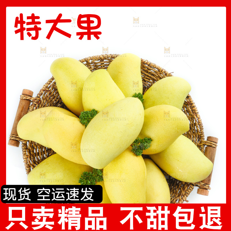 玉芒