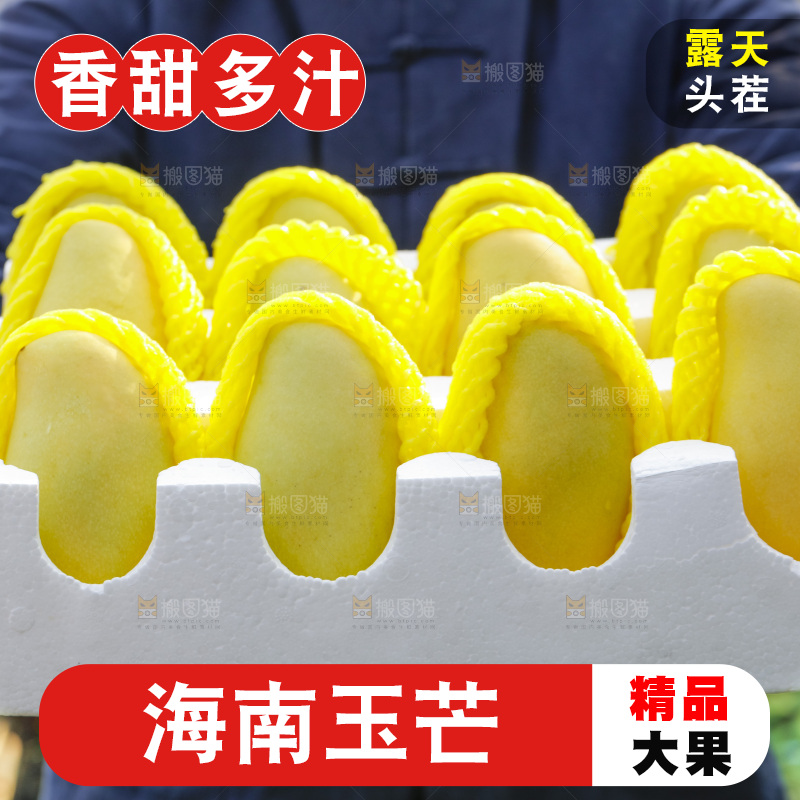 玉芒